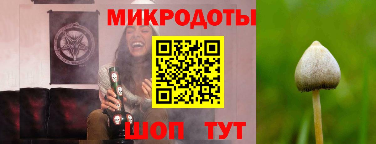 Галлюциногенные грибы прущие грибы Уварово